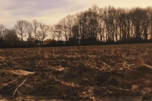 Le Bois de Franchon