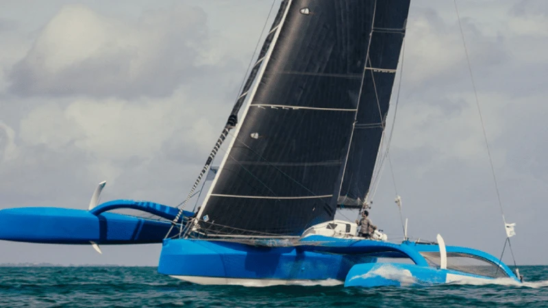 wewise Sailing Team
